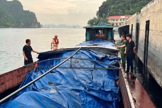 Vận chuyển 100 tấn than không rõ nguồn gốc, một tàu vỏ thép bị bắt giữ