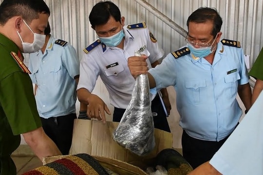 Chưa tìm ra thủ phạm vụ vận chuyển sừng tê giác "khủng" tại Tân Sơn Nhất