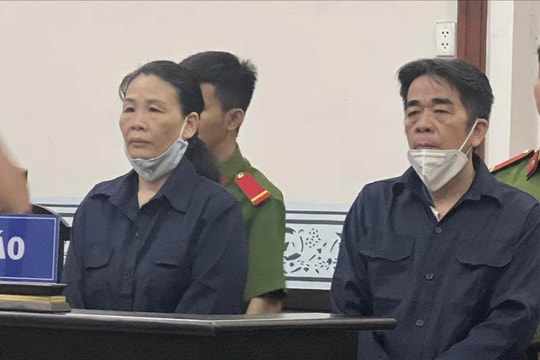 Dùng sổ đỏ giả thế chấp vay tiền rồi chiếm đoạt