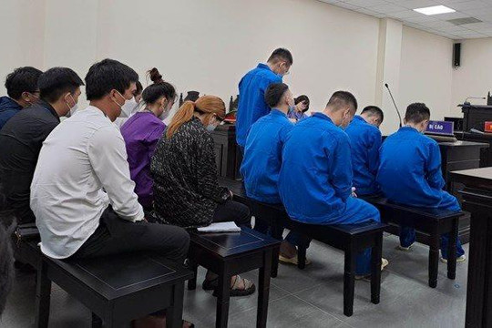 12 bị cáo trong đường dây làm giả giấy phép lái xe lĩnh án