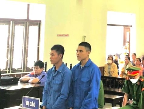 Mua bán trái phép ma túy, hai thanh niên lĩnh án