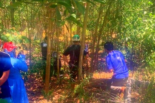 Thi thể người đàn ông đang phân hủy được phát hiện trong vườn keo