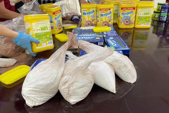 Hơn 19kg nghi ma túy ngụy trang trong lô hàng cacao từ Pháp về Việt Nam