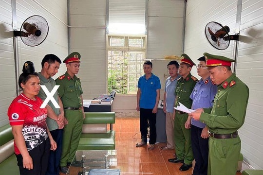 Sơn La: Bắt tạm giam bí thư kiêm trưởng bản tội hủy hoại rừng