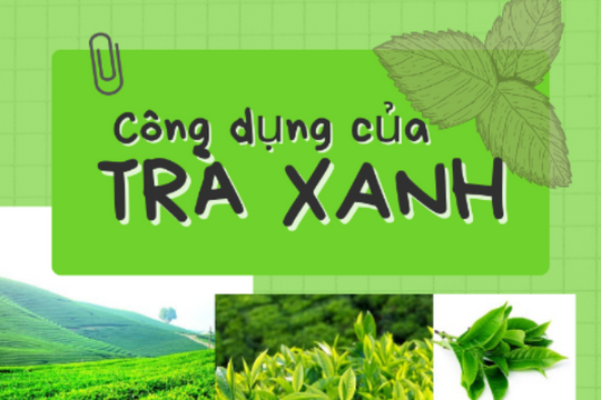 Công dụng của trà xanh