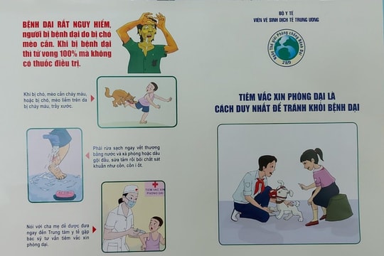 Liên tiếp ghi nhận hai trường hợp bị chó dại cắn tử vong