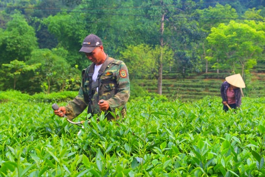 Chàng trai đoạn tuyệt ma túy, trở thành gương sáng phát triển kinh tế