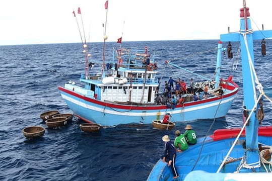 Nỗ lực tháo gỡ "thẻ vàng" IUU, hướng tới khai thác thủy sản bền vững