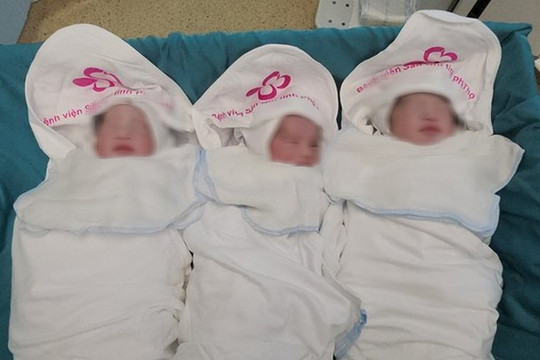 Hy hữu: Người phụ nữ mang tam thai từ 2 trứng, 2 tinh trùng