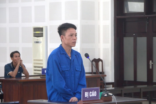 Trả thù cho anh trai, em mang tội giết người