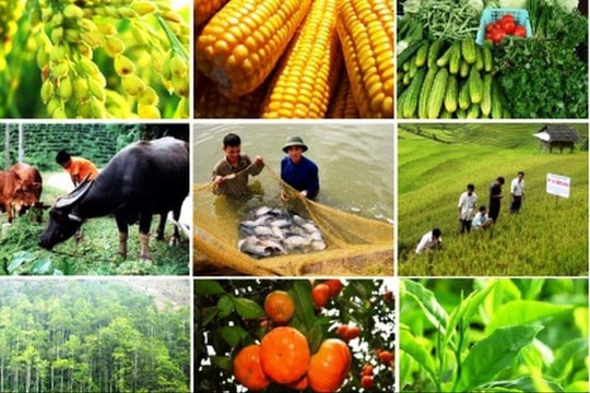 Hoàn thiện khuôn khổ pháp lý của Quỹ Hỗ trợ nông dân