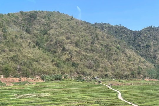Hòa Bình: Kỷ luật nguyên Bí thư, Chủ tịch và loạt cán bộ xã Hòa Sơn