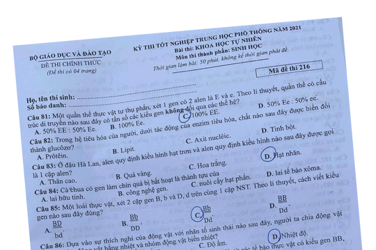 Sắp xét xử vụ lộ đề thi tốt nghiệp THPT 2021