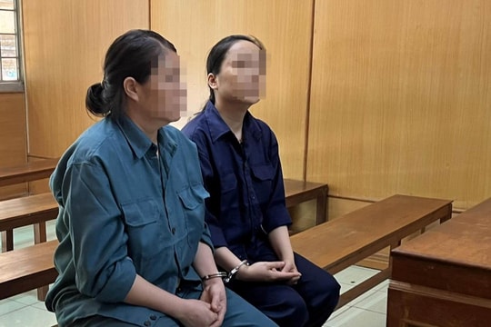 Làm giấy tờ giả để chuyển nhượng nhà đất của người khác