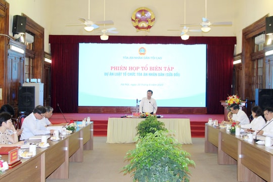 Họp Tổ biên tập Dự án Luật Tổ chức TAND (sửa đổi)