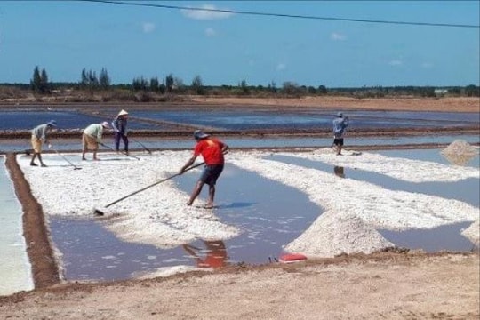Phát triển nghề làm muối trở thành ngành kinh tế mũi nhọn - Bài 1: Thăng trầm nghề muối