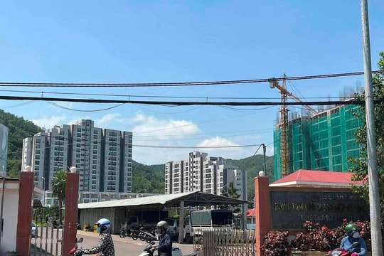 Cảnh cáo nguyên Giám đốc Trung tâm Đào tạo nghiệp vụ giao thông vận tải Bình Định