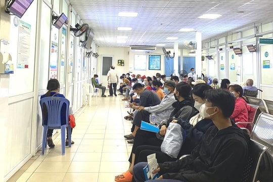 Tổn thương thận do nhiễm giun đũa chó mèo