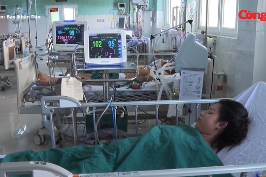 Sốt xuất huyết phá vỡ quy luật 4-5 năm mới có một “đỉnh dịch”