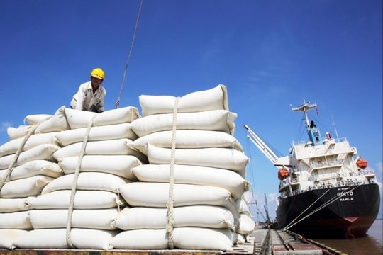 Tăng cường các giải pháp thúc đẩy sản xuất, xuất khẩu gạo