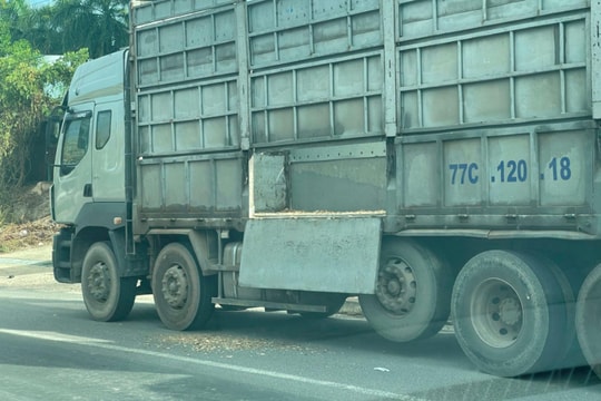 Bức xúc tình trạng xe chở dăm gỗ ngang nhiên vi phạm tại Bình Định