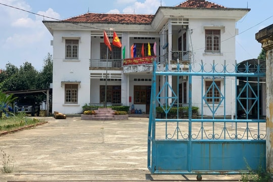 Bình Định: Đề nghị kiểm điểm sai phạm của BQL rừng phòng hộ huyện Vĩnh Thạnh