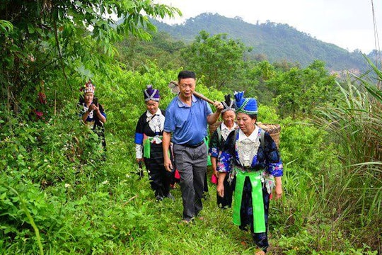 Người cựu binh đưa Gừng Kỳ Sơn vươn ra thế giới