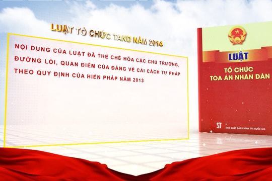 Truyền hình Tòa án nhân dân: Số 33