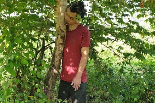 Người đàn ông tử vong trong tư thế treo cổ vào cây trứng cá