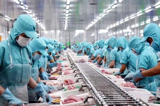 Nhiều giải pháp thúc đẩy xuất khẩu thủy sản phục hồi