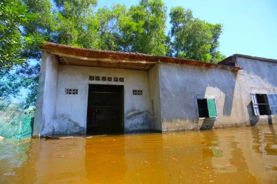 Kênh dẫn nước gặp sự cố khiến nhiều hộ dân bị ngập