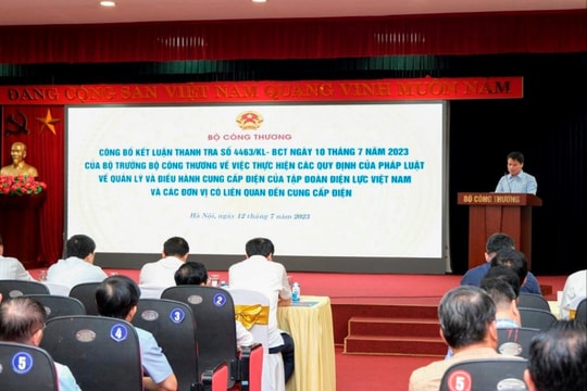 Thanh tra EVN: Bộ Công Thương chỉ ra việc chậm đầu tư nguồn điện