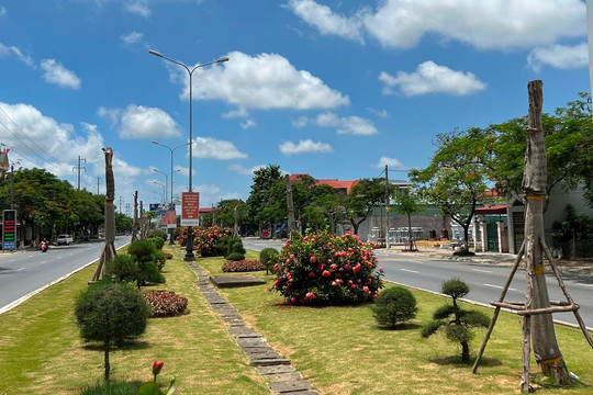 Hải Phòng: Hàng loạt cây xanh chết khô dọc đường Phạm Văn Đồng