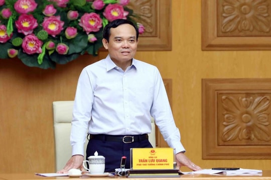 Trước 10/8, ban hành 2 thông tư làm căn cứ xây dựng Đề án Vị trí việc làm