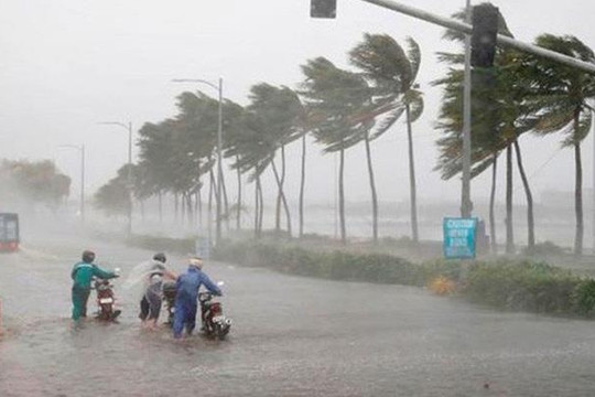 Áp thấp nhiệt đới đang mạnh lên, khi nào bão số 1 sẽ ảnh hưởng đến đất liền?