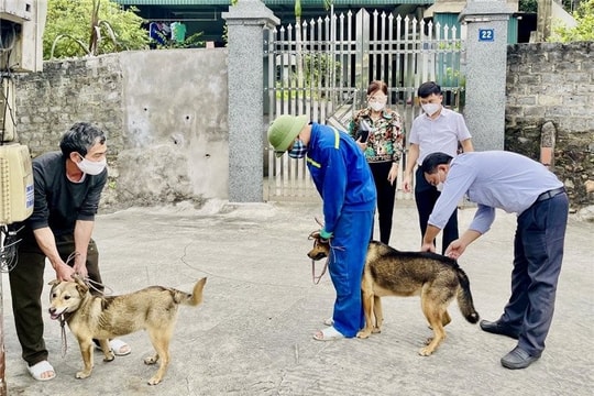 Người đàn ông tử vong vì bệnh dại sau 4 tháng bị chó cắn