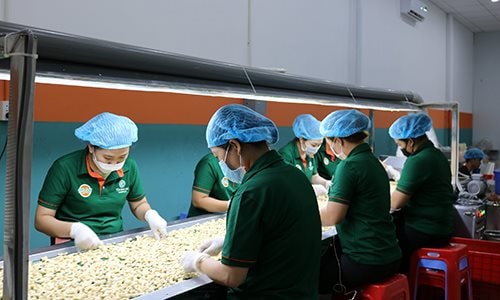 Lại có dấu hiệu lừa đảo của khách hàng trong xuất khẩu điều nhân