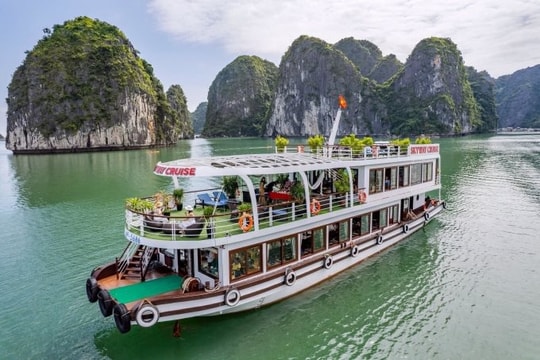 Hải Phòng, Quảng Ninh: Du khách hủy tour vì bão Talim