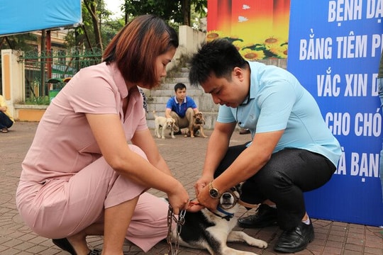 Phát bệnh dại, tử vong sau 7 tháng bị chó nhà cắn