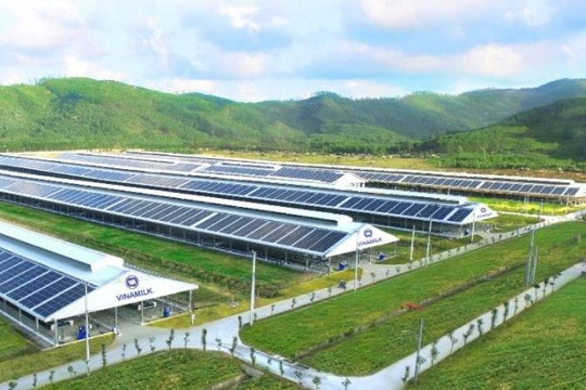 Đo sức khỏe tài chính của doanh nghiệp qua dòng tiền từ hoạt động kinh doanh