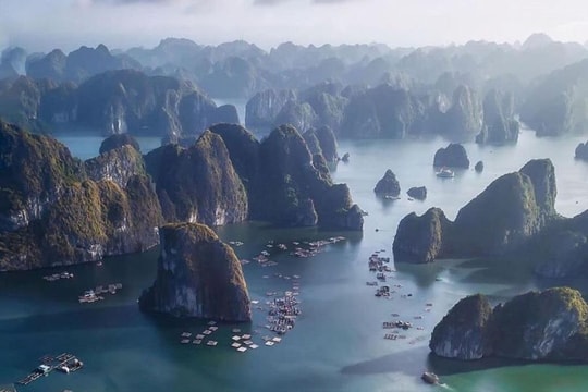 Xử lý các tàu du lịch tổ chức sự kiện giải trí trái phép trên vịnh Hạ Long