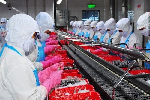 Nâng tầm tôm Việt