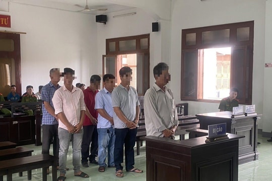 Xét xử nhóm đối tượng đánh bạc bằng hình thức đá gà