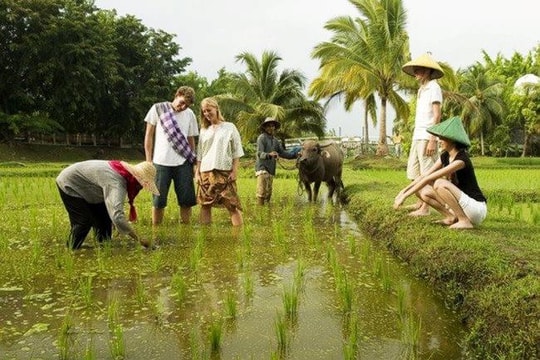 Du lịch Quảng Ngãi đạt doanh thu 485 tỷ đồng trong 6 tháng đầu năm