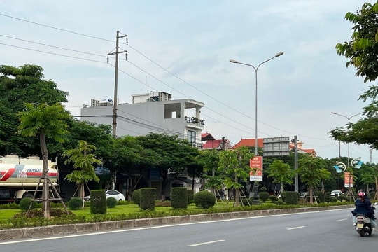 Hải Phòng: Trồng bổ sung nhiều cây xanh trên đường Phạm Văn Đồng