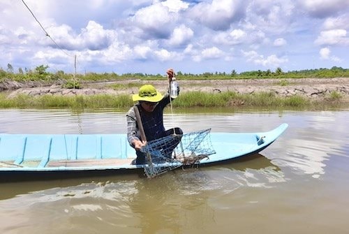 Cựu chiến binh Phan Văn Đông xứng danh bộ đội Cụ Hồ