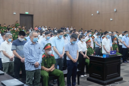 Các bị cáo vụ "chuyến bay giải cứu" đồng loạt xin HĐXX giảm nhẹ hình phạt