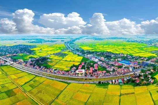 Điều chỉnh, bổ sung thành viên của Hội đồng điều phối vùng