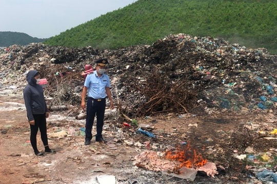 Tiêu hủy gần 500kg thực phẩm không rõ nguồn gốc