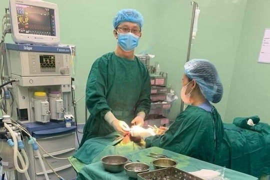Cháu bé 5 tuổi bị chó cắn rách vùng mặt